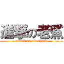 進撃の老鯊 (attack on old shark)