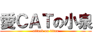 愛ＣＡＴの小泉 (attack on titan)