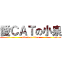 愛ＣＡＴの小泉 (attack on titan)