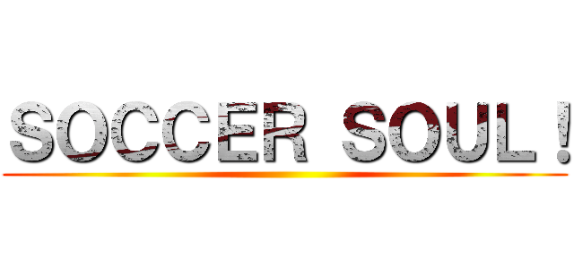 ＳＯＣＣＥＲ ＳＯＵＬ！ ()