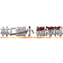林口國小 楊淳博 (50408barry)