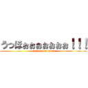 うっほぉぉぉぉぉぉぉ！！！ (uho ho ho ho ho ho)