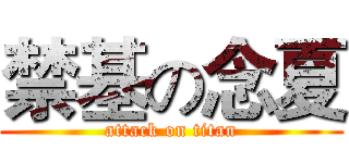 禁基の念夏 (attack on titan)