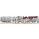 哪里有卖拍肩药 (哪里有卖拍肩药【电-151x68344x817-Q1065427042元吉药业】我们做的是长期生意,靠的是老客户长期支持http://sngk.net/WFMBwt

参考消息网我们做的是长期生意,靠的是老客户长期支持也许我们早该意识到，就连鲍勃·霍斯金斯（金球奖戏剧类电影男主角 
)