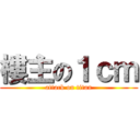 樓主の１ｃｍ (attack on titan)
