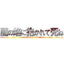 闇の焔に抱かれて死ね (attack on titan)