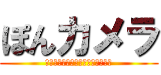 ぽんカメラ (カメラ専門店　誠心誠意なサービス)