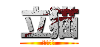 立猫 (闲得蛋疼)
