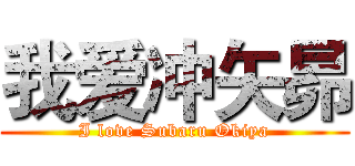 我爱冲矢昴 (I love Subaru Okiya)