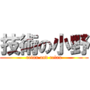 技術の小野 (relax and relax)