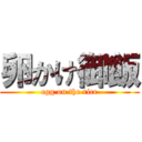 卵かけ御飯 (egg on the rice)