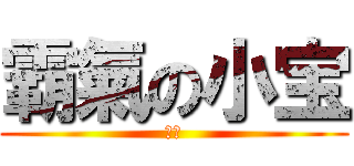 霸氣の小宝 (小寶)