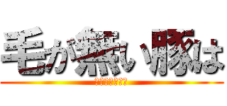 毛が無い豚は (ただのタクヤだ)