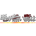 毛が無い豚は (ただのタクヤだ)