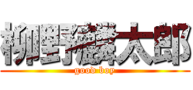 柳野麟太郎 (good boy)