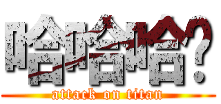 哈哈哈啥 (attack on titan)