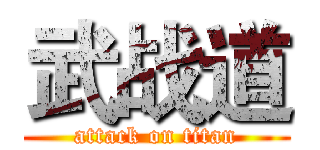 武战道 (attack on titan)