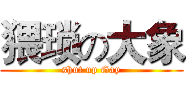 猥琐の大象 (shut up Gay)