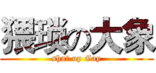 猥琐の大象 (shut up Gay)
