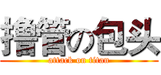 撸管の包头 (attack on titan)