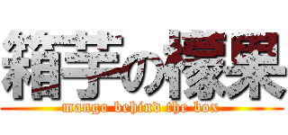 箱芋の檬果 (mango behind the box)