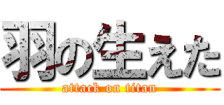 羽の生えた (attack on titan)