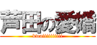 芦田の愛嬌 (kwaiiiiiiiiii)