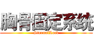 胸骨固定系统 (SternalLock)