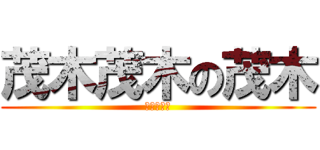 茂木茂木の茂木 (松尾の逆襲)