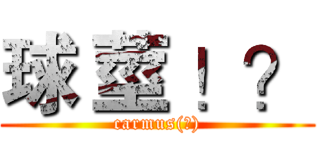球 莖 ！？ (carmus(?))