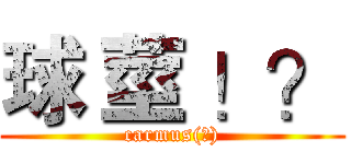 球 莖 ！？ (carmus(?))