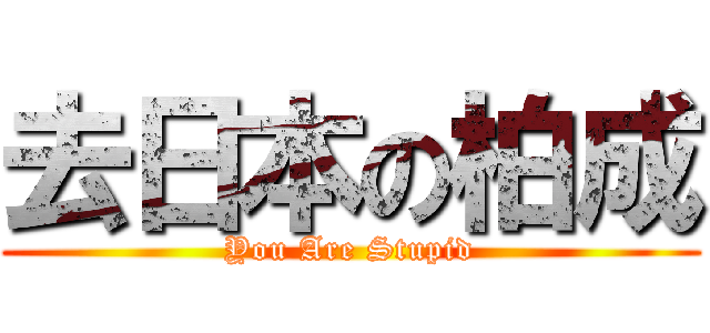 去日本の柏成 (You Are Stupid)