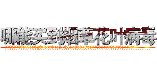 哪能买到烟草花叶病毒 (哪能买到烟草花叶病毒【电.话186x0156x9662-Q194843976林氏药业】我们做的是长期生意,靠的是老客户长期支持
参考消息网2月20日报道 韩媒称，“剩女多、离婚率高的城市，房价一定会上涨。”这是中国经济学家金岩石2016年12月参加在上海举行的房地产相关论坛时说的话。
)