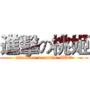 進擊の桃姬 (attack on beautiful TAO)