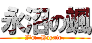 永沼の颯 (I'm  Hayato.)