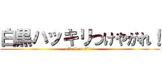 白黒ハッキリつけやがれ！ (attack on titan)