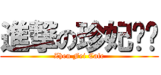 進撃の珍妃咖啡 (Zhen Fei Cafe)