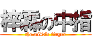 梓霖の中指 (the middle finger)