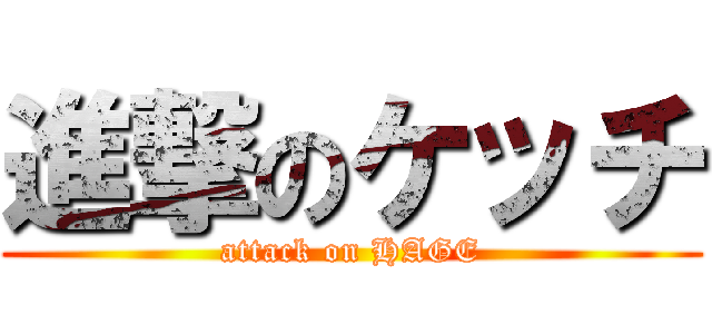 進撃のケッチ (attack on HAGE)