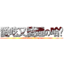 愛吃又愛睡の哈遛 (eat&sleep Haryu)