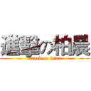 進擊の柏晨 (attack on titan)