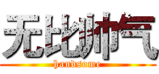 无比帅气 (handsome)