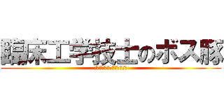 臨床工学技士のボス豚 (臨床工学技士　ボス豚で検索)