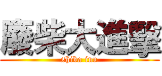 廢柴大進擊 ( shiba inu )