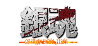 銀魂 (GINTAMA )