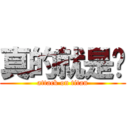 真的就是你 (attack on titan)