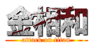 金相和 (attack on titan)