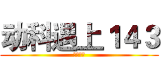 动科遇上１４３ (不二情书)