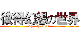 彼得幻想の世界 (what the fuck?)