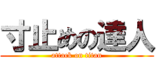 寸止めの達人 (attack on titan)